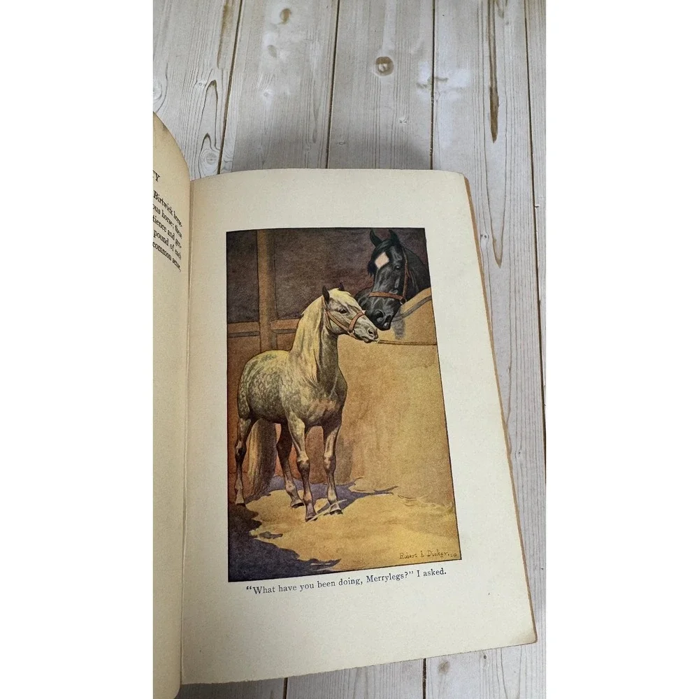 Black Beauty Anna Sewell 1911 HC Illustrated Robert L Dickey Barse Classic